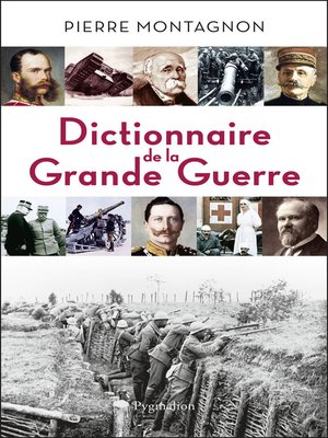 cover image of Dictionnaire de la Grande Guerre